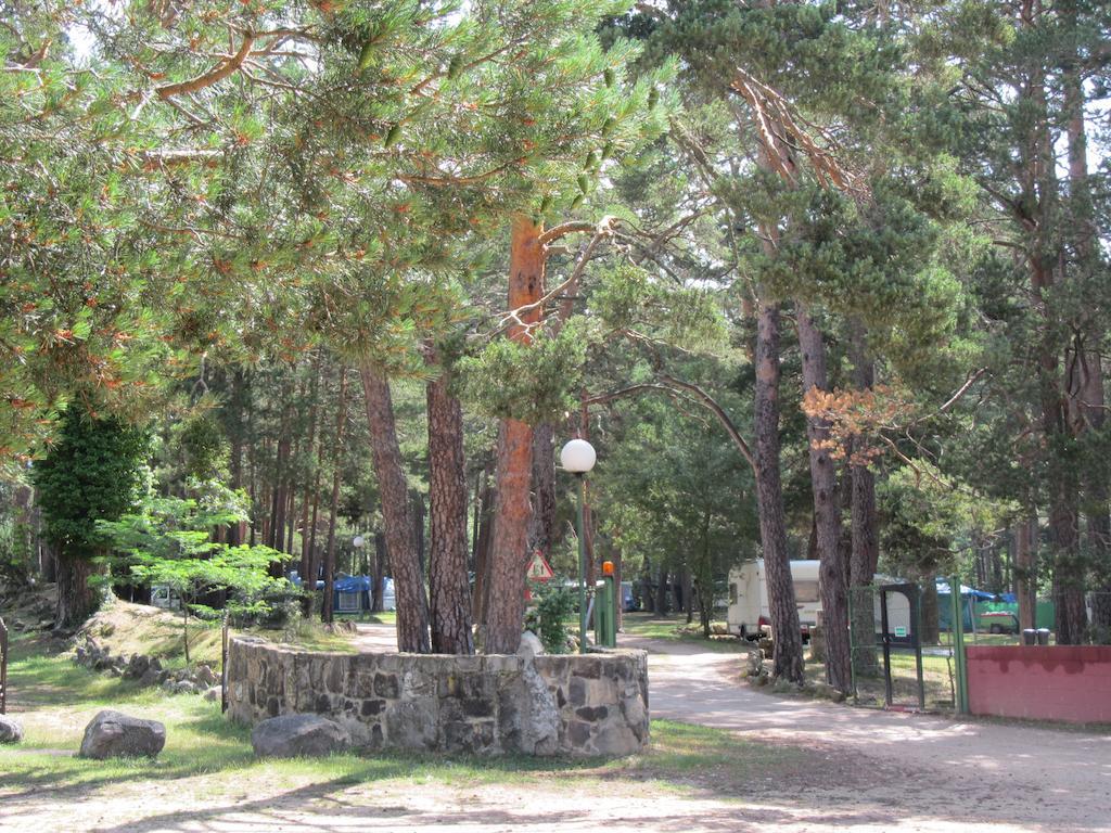Camping Cobijo Vinuesa Esterno foto